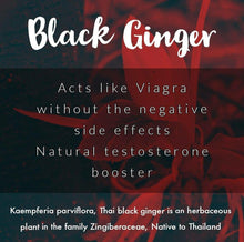 Load image into Gallery viewer, Thai black ginger - HerbHead