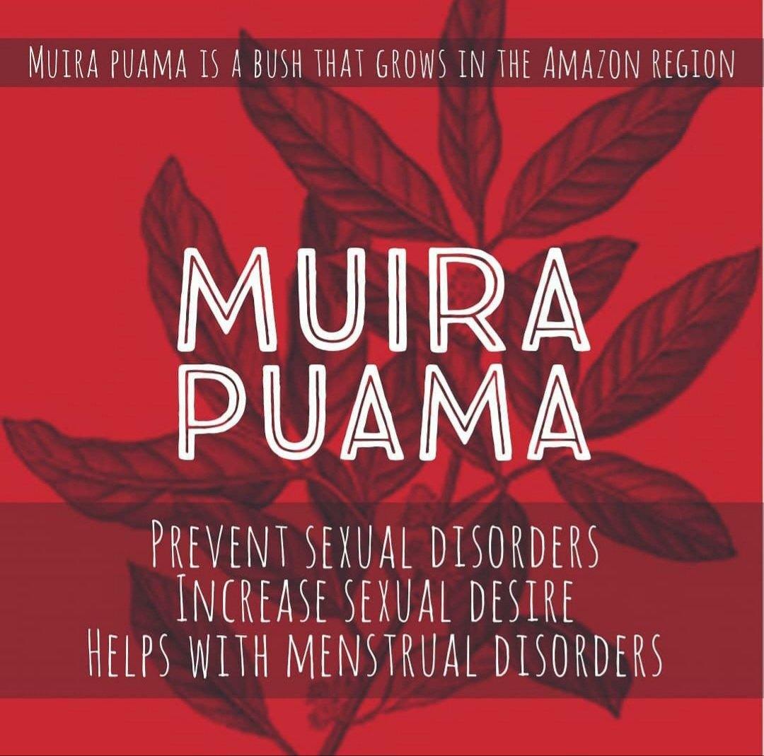 Muira puama HerbHead