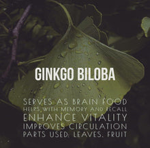Load image into Gallery viewer, Ginko Biloba - HerbHead