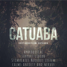 Load image into Gallery viewer, Catuaba bark - HerbHead
