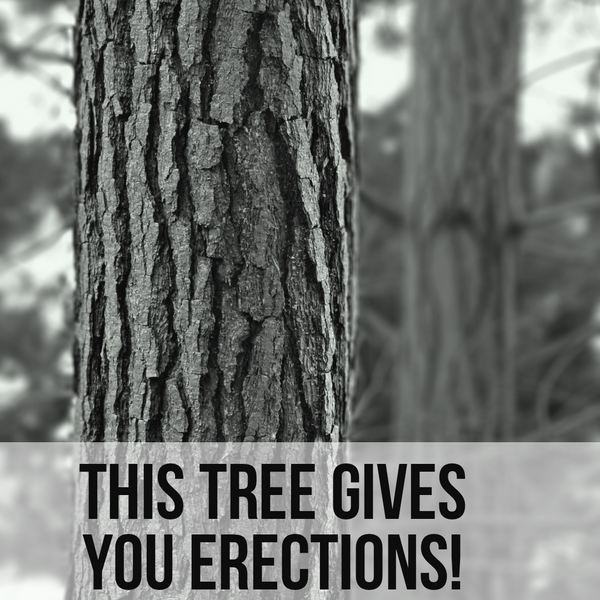 The tree that gives erections