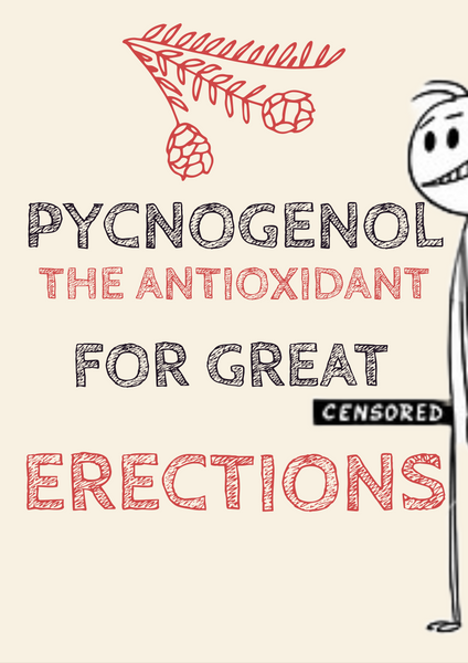Pycnogenol and Its Benefits for Erection Health👇