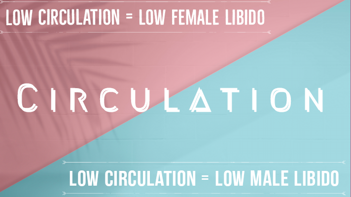 Blood circulation and the libido