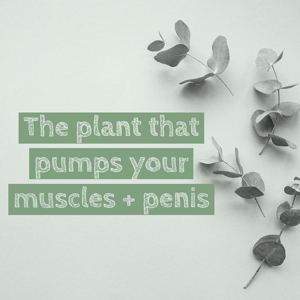 The plant that pumps Muscles and your erections!