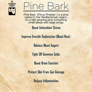 Pine bark - HerbHead