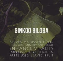 Load image into Gallery viewer, Ginko Biloba - HerbHead
